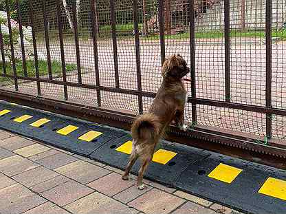 Лежачий полицейский для уменьшения просвета между воротами и поверхностью дороги
