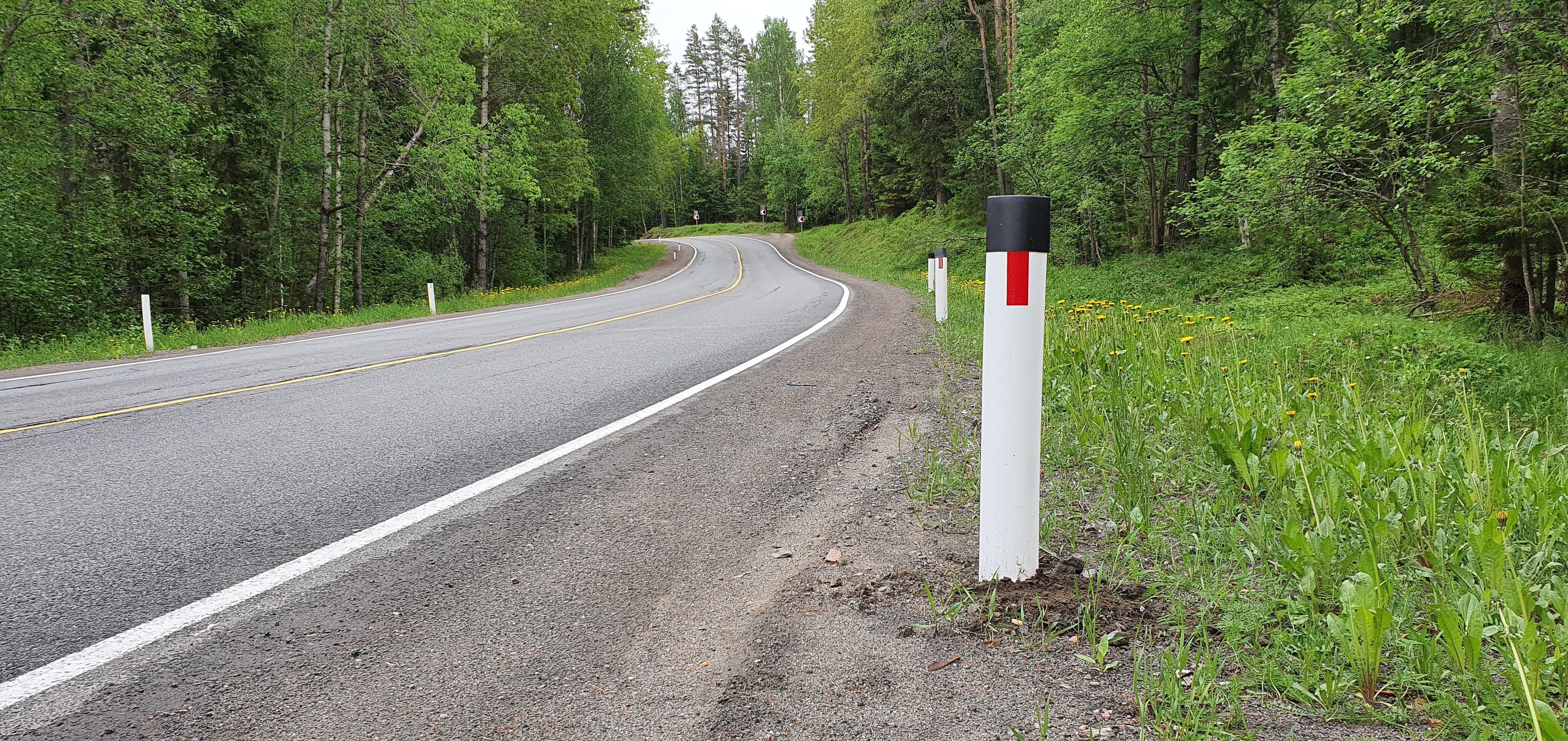 дорожный столб. столбик дорожный сигнальный сдс с1, высота 1,5 м. сигнальные столбики на дороге. разделительные сигнальные столбики. сигнальные столбики на дороге.